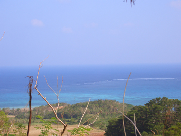 美しい石垣島の海