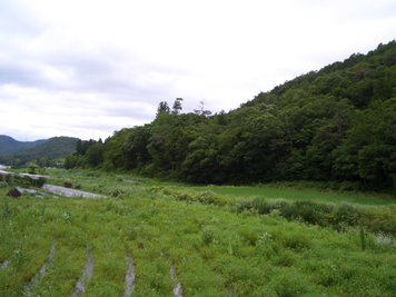 関西の里山風景