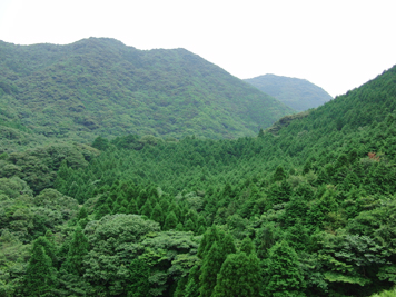 福江島の山は深い