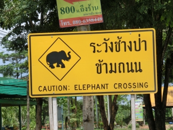 ゾウ横断注意！