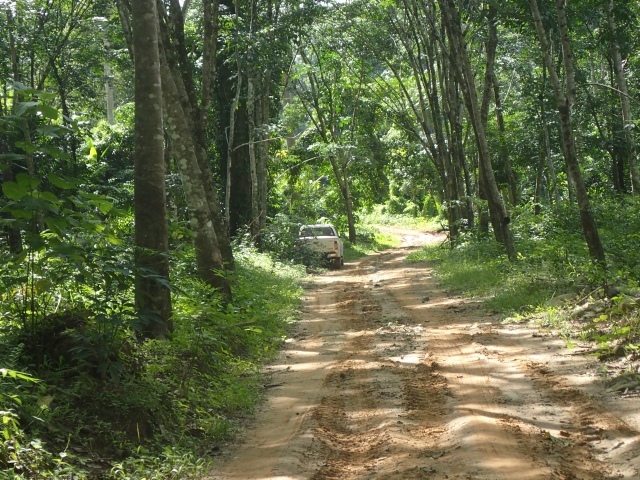 タクヤックゥの林道